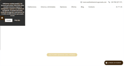 Desktop Screenshot of hotelamericagranada.com